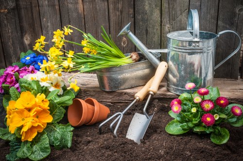Selection of native plants suitable for Hainault landscaping