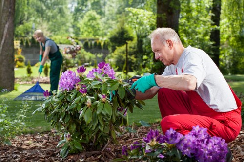 Customer receiving accessible document about local garden maintenance