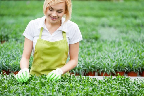 Professional landscapers working on garden design in Hainault